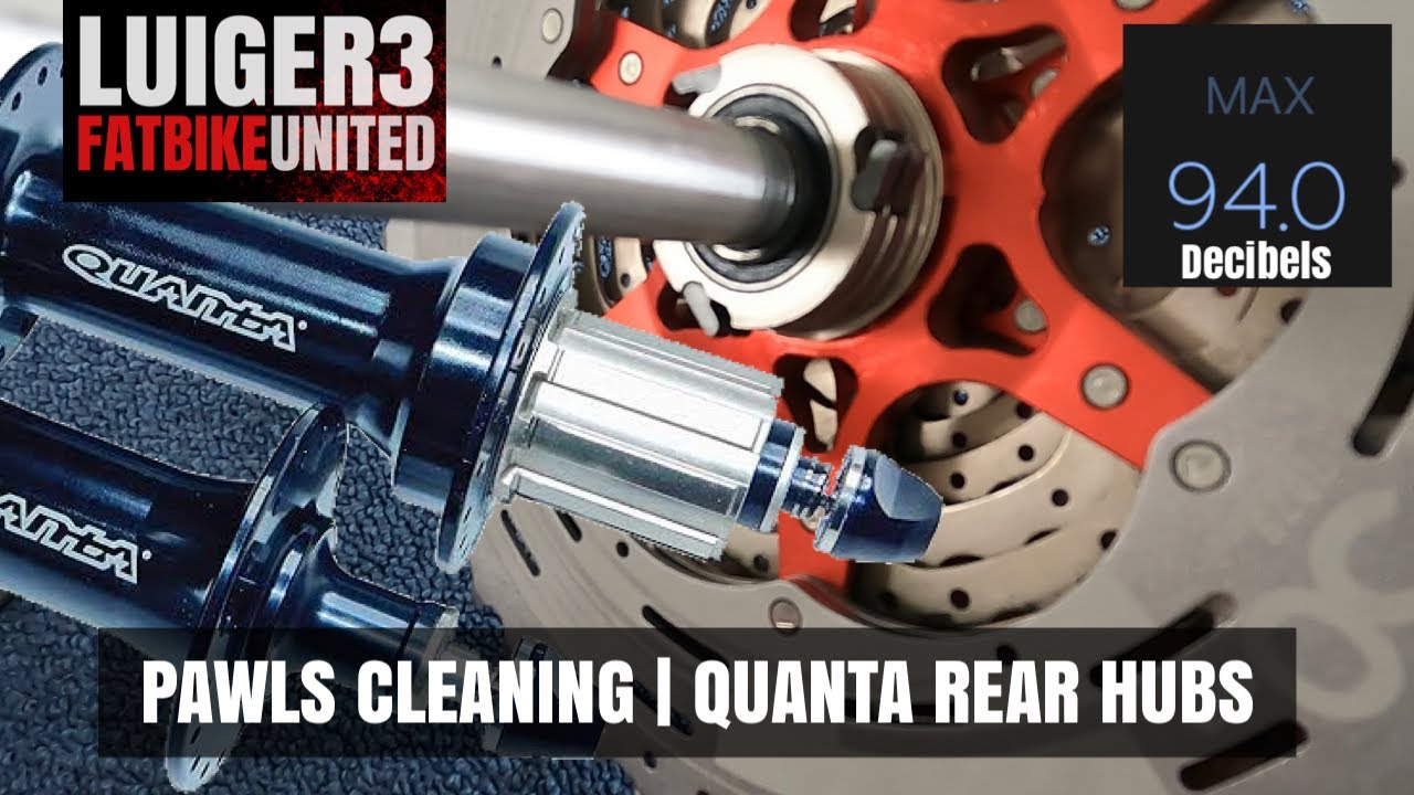Pawls Cleaning | QUANTA Rear hub