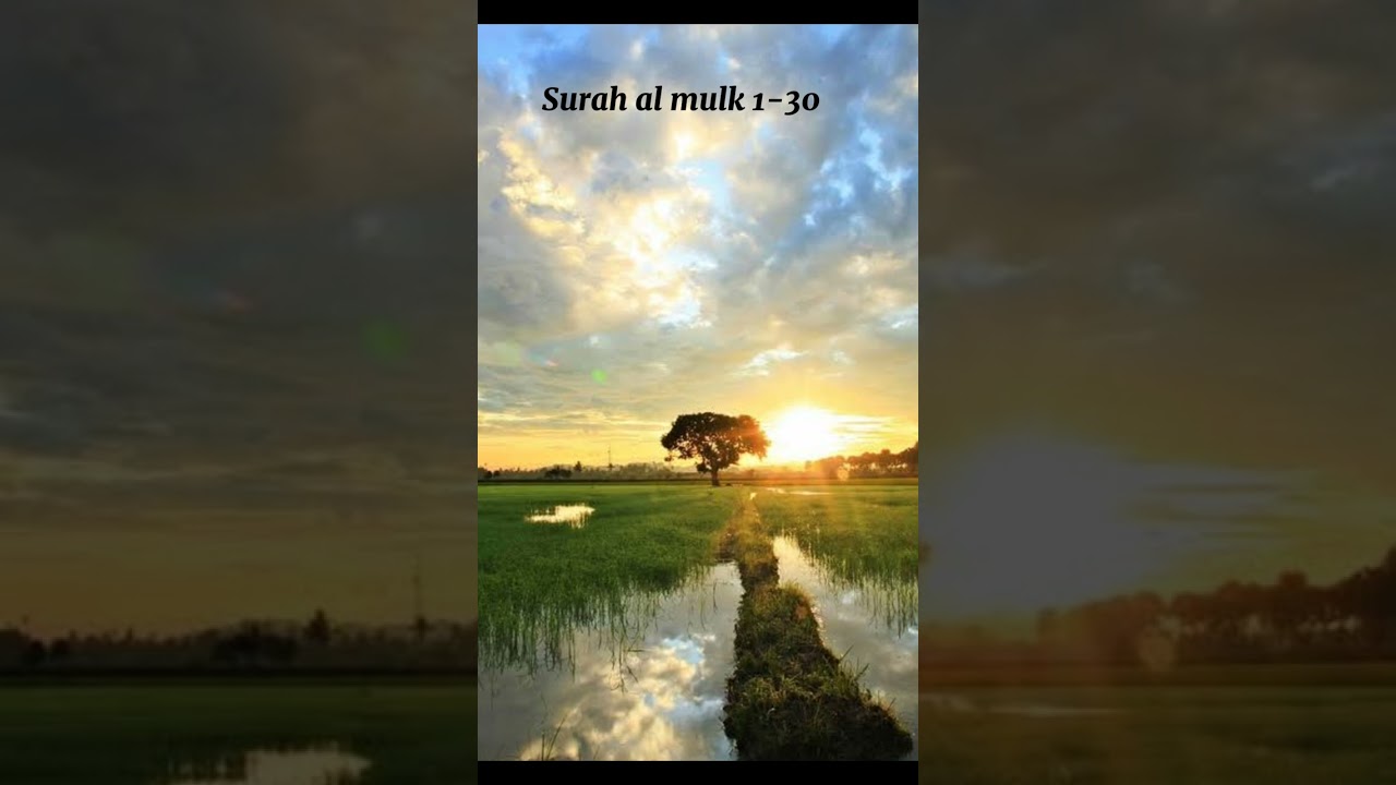 QS Al-mulk (full 30 ayat) Jangan lupa like & subcribe #viral #alquran #fyp 