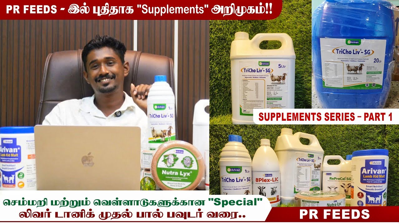 🐑🐐செம்மறி மற்றும் வெள்ளாட்டுக்கான 