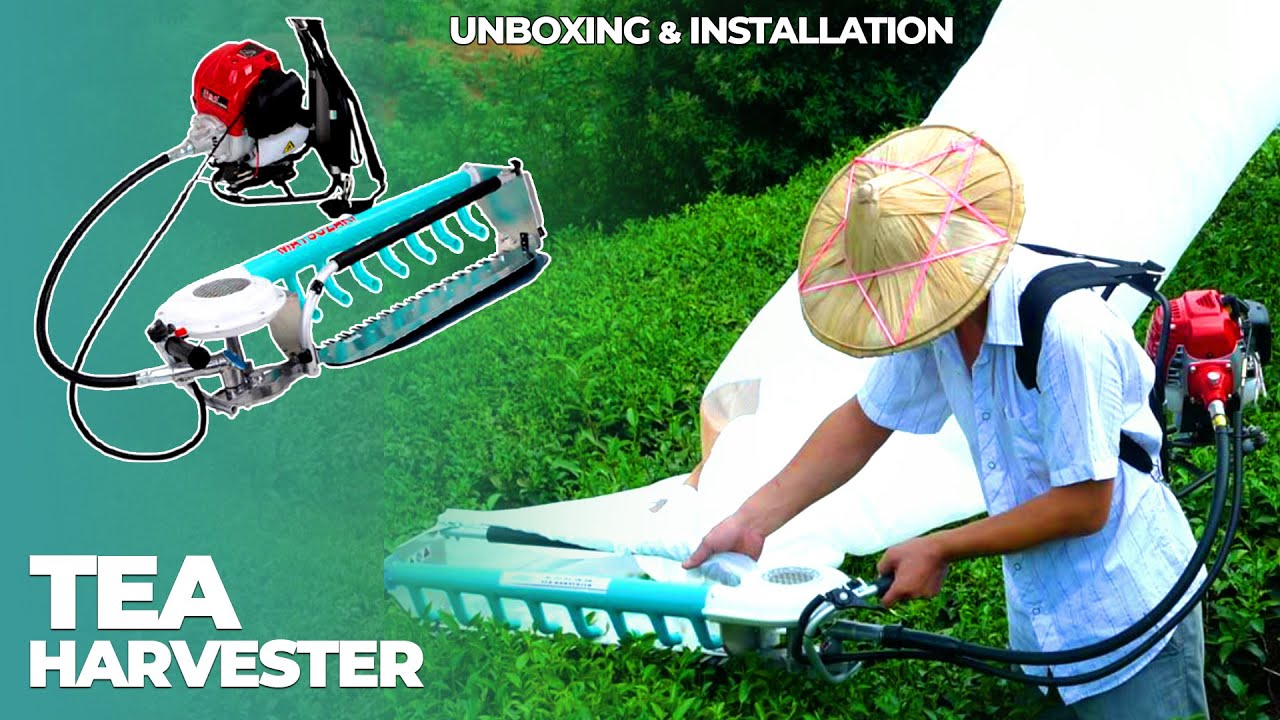 Tea Harvester Unboxing & Installation Guide | Call Us - 7829055044