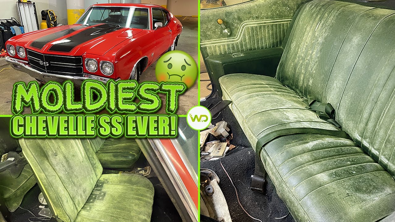Глубокая очистка самого заплесневелого Chevelle SS 1970 года! | Удовлетворительная программа по д...