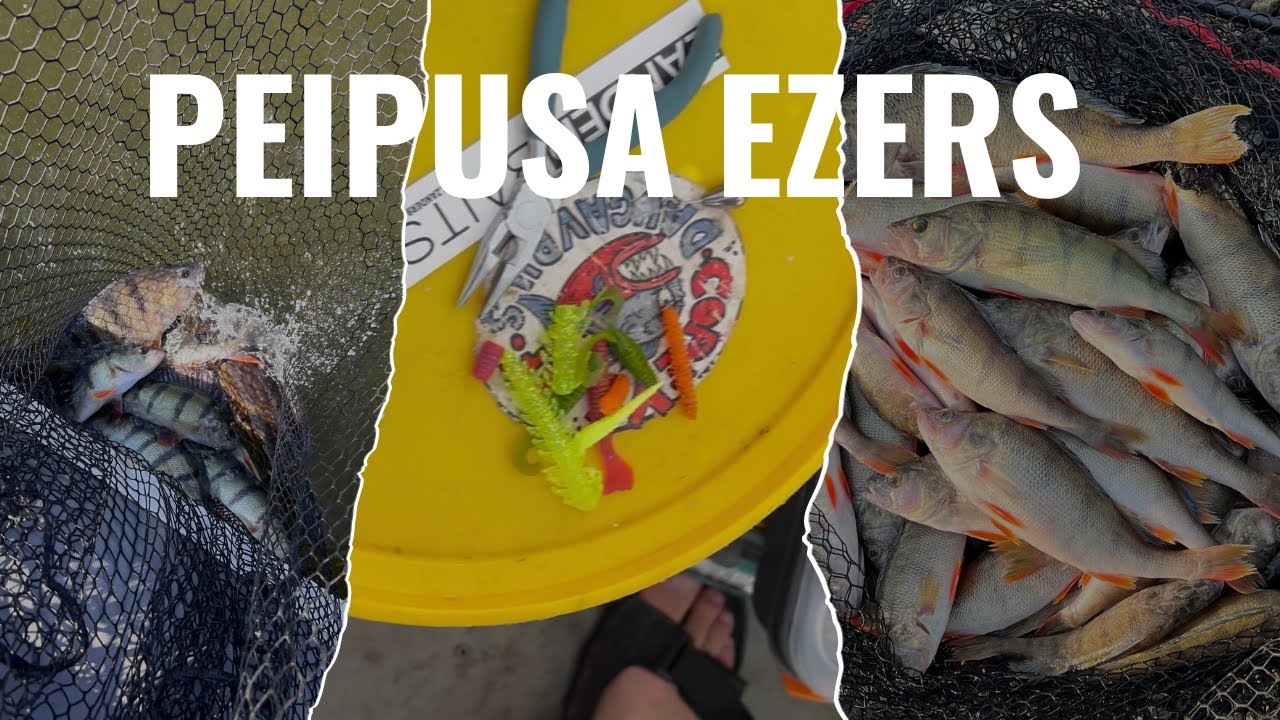 Peipusa ezers, asaru cope vasarā! Eksperimentēju ar mānekļiem, bet džigs tomēr vislabākais.