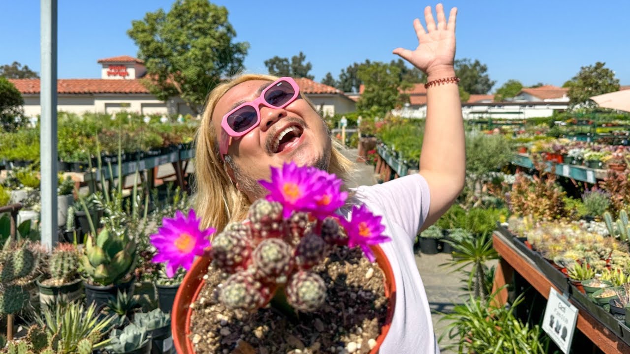 I Found Some of the Coolest, Most Irresistible Plants! REFRESH RESTART