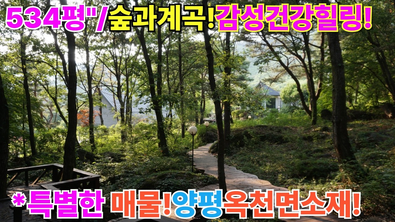 도로좋은 543평 계곡좋은 옥천면전원주택#양평전원주택#양평전원주택매매#양평전원주택급매#양평토지#양평토지급매#양평부동산#양평계곡주택#양평계곡 [매물번호 : 22717
