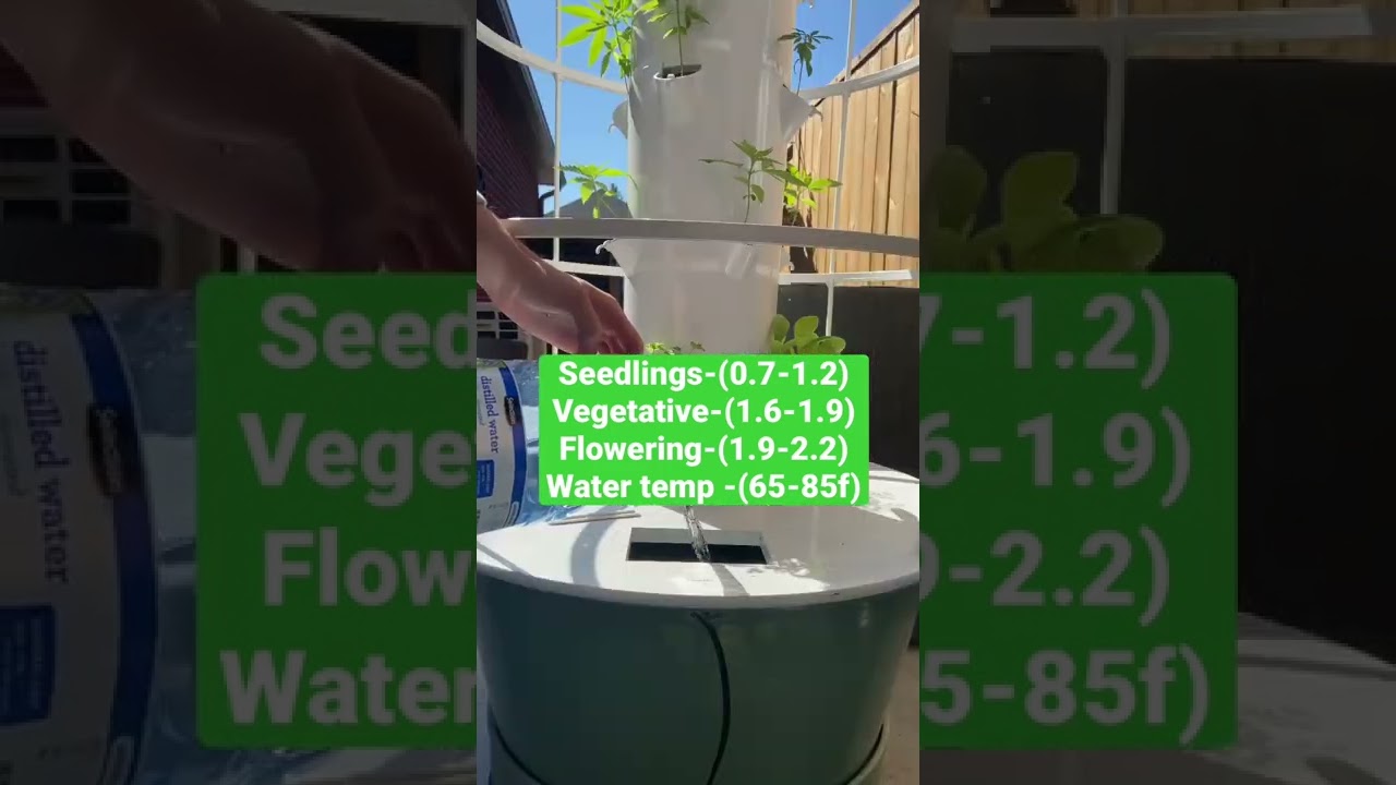 Ec/ppm guide for growing aeroponic cannabis in a vertical tower garden by juice plus