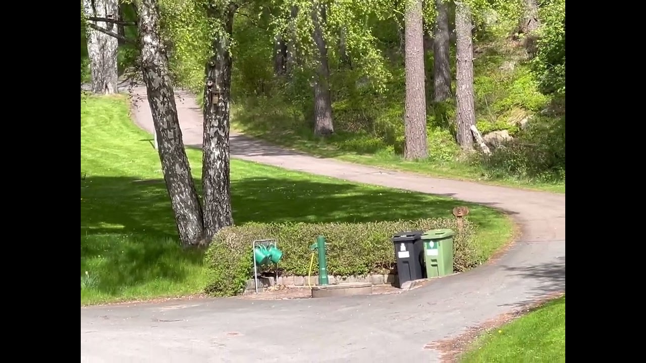 Vår på Kvibergs kyrkogård, 8 maj 2025