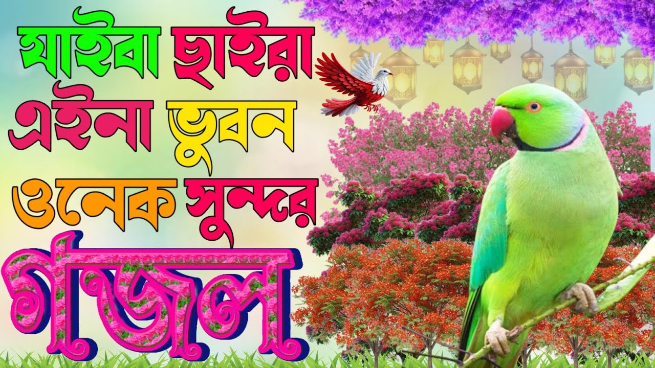 Notun rozar islamic gojol খুবই চমৎকার রমজানের উপলক্ষে নতুন সেরা গজল |Notun bangla gojol|Asadul gojol