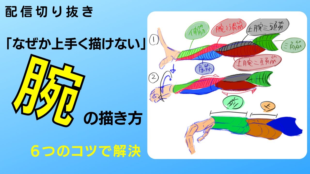 意外とお茶の子さいさいな腕の描き方　