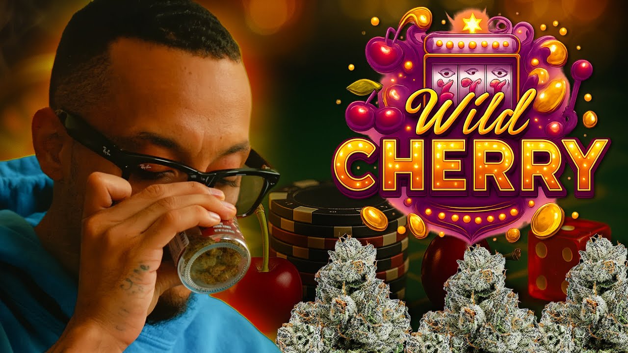 Wild Cherry Strain Review - Seed Junky Series (Ep. 5)