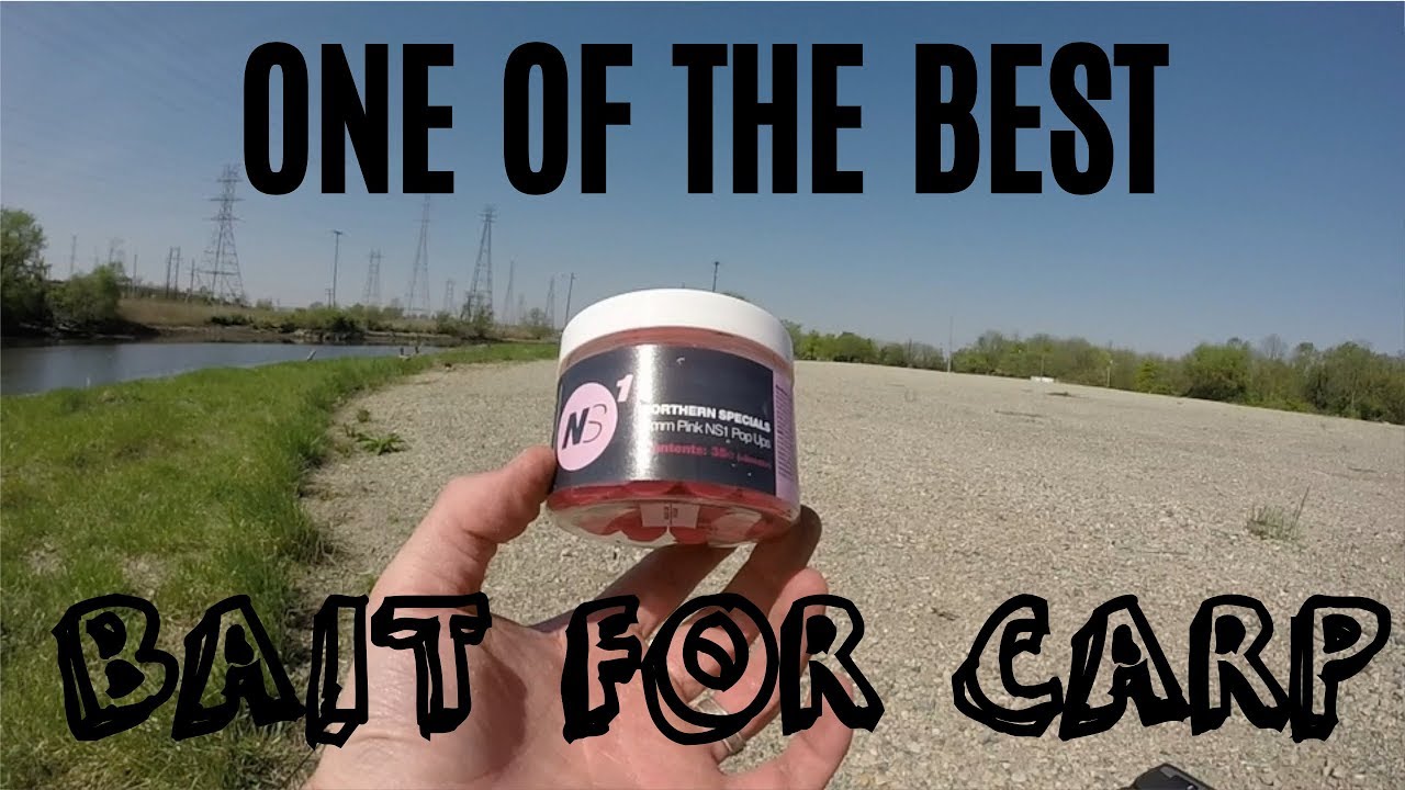 How to CATCH BIG CARP on POP UP BOILIES