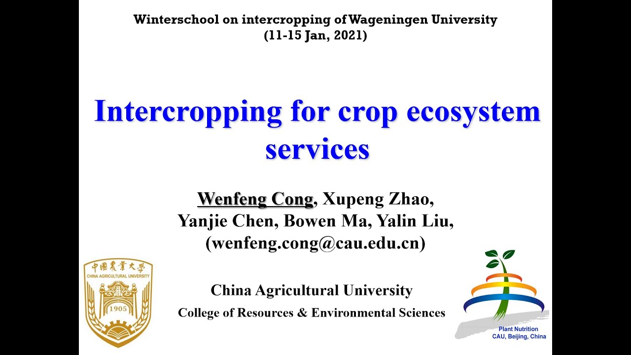 Wenfeng Cong - Intercrop for ecosystem services - Wageningen Intercropping Winter School 2021 ReMIX