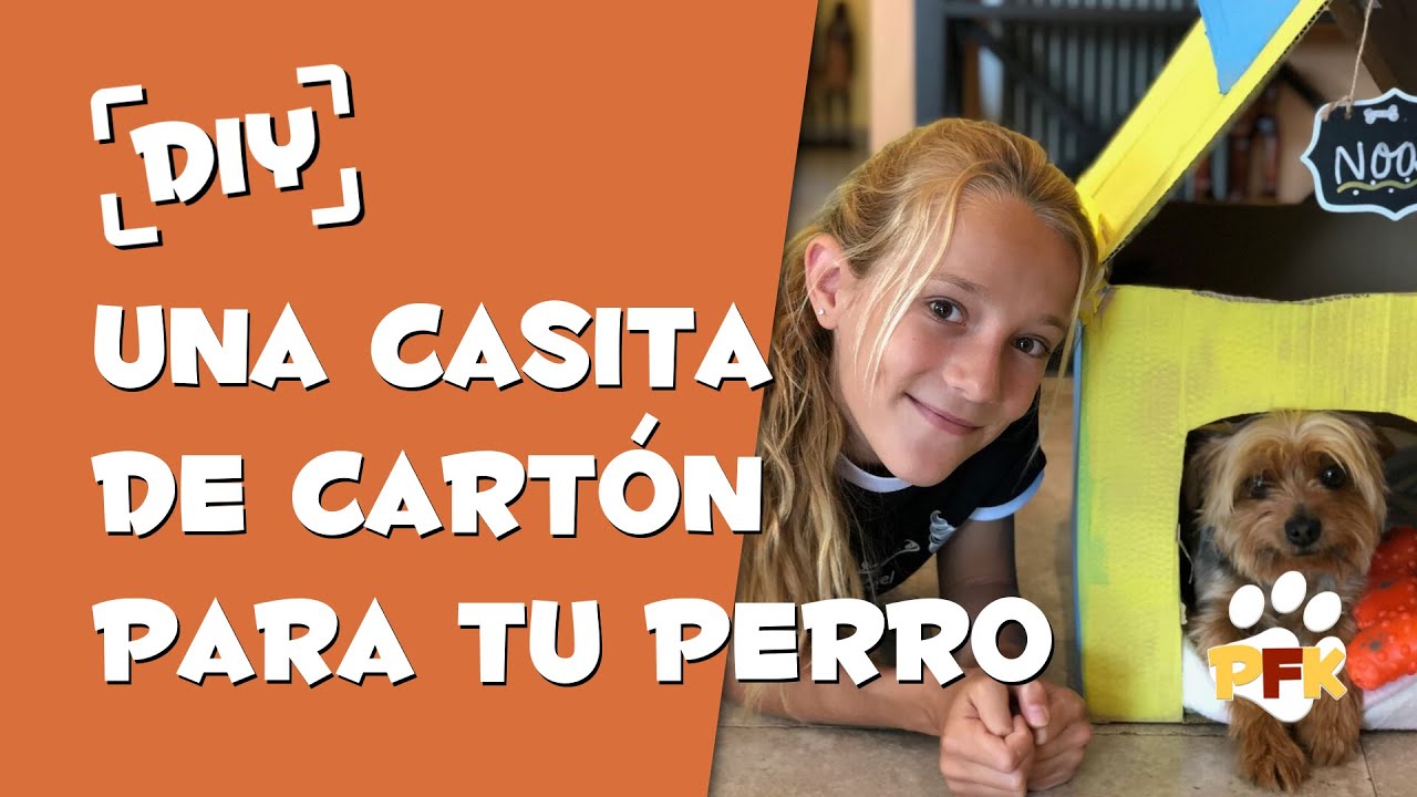CONSTRUYE UNA CASA PARA TU PERRO - PETS FAMILY KIDS