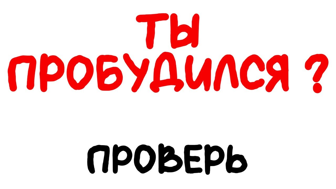 Ты пробудился или врёшь себе ? Проверь !