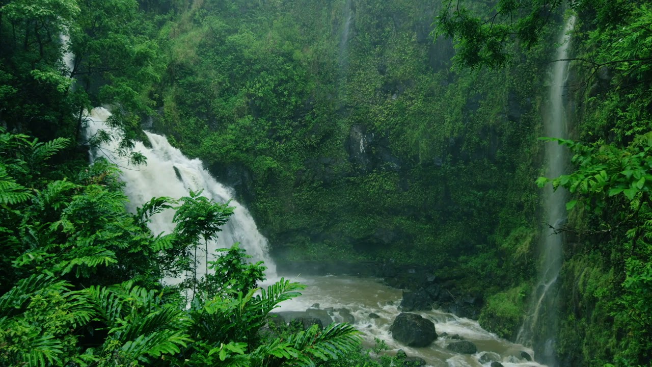 TROPICAL RAINFOREST IN HAWAII / WATERFALL SOUNDS, RAIN SOUNDS, JUNGLE AMBIENCE, SLEEP AMBIENCE