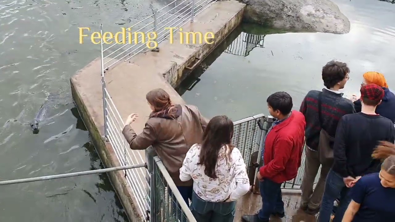 St Andrew Aquarium || Family Time || Scotland @Mystylevlogsofficial  MSV