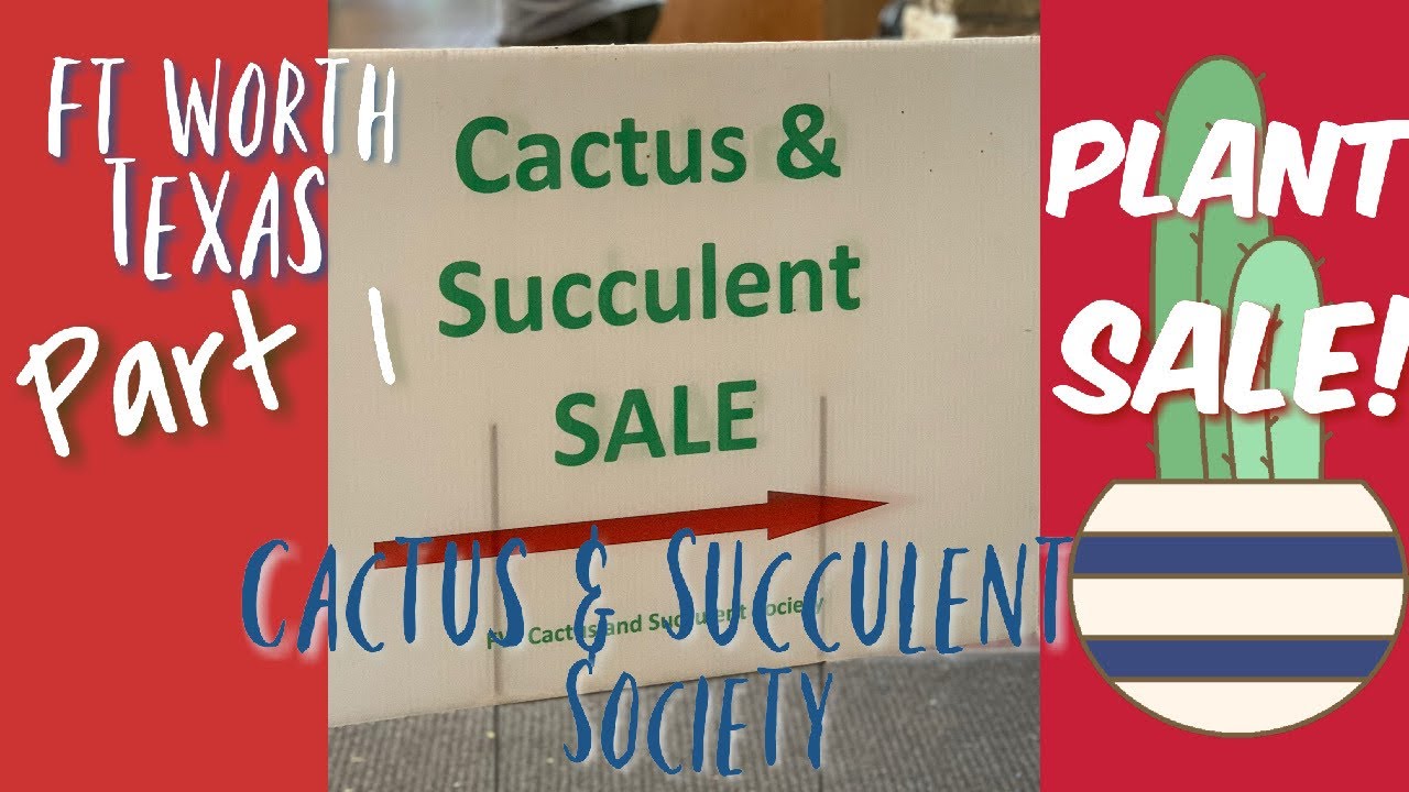 65: Fort Worth, TX - Part 1 | 🌵Cactus & Succulent Society Fall Plant Sale | October 2020