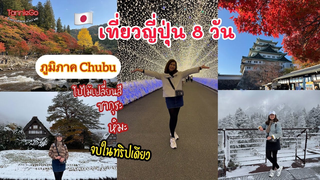 รีวิวเที่ยวญี่ปุ่น 8 วัน ภูมิภาค Chubu ใบไม้แดง ซากุระ หิมะ ในทริปเดียว | Long Edit | TannieGo EP.90