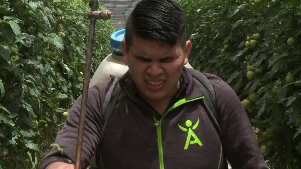 Buen Uso y Manejo de Plaguicidas