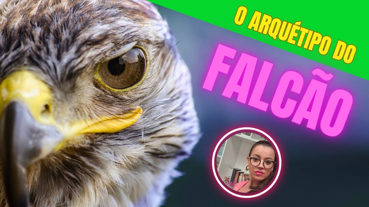 O ARQUÉTIPO DO FALCÃO. CORAGEM, PODER, PROSPERIDADE, CRIATIVIDADE, ESTRATÉGIA E LIDERANÇA.