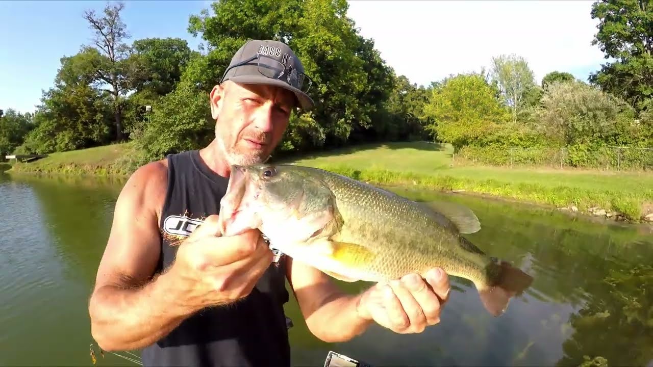 Afternoon Delight Chatterbaits in the Grass