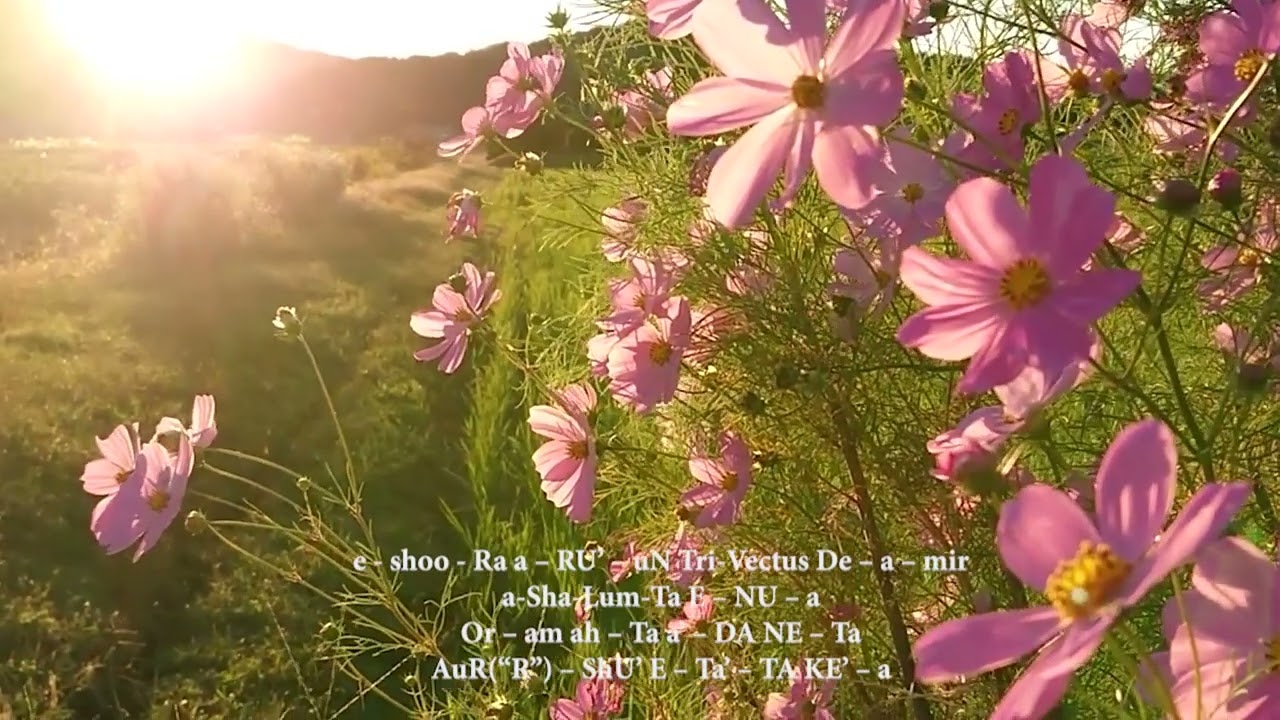 I AM the Sacred Sun Invocation of the Personal Rishi