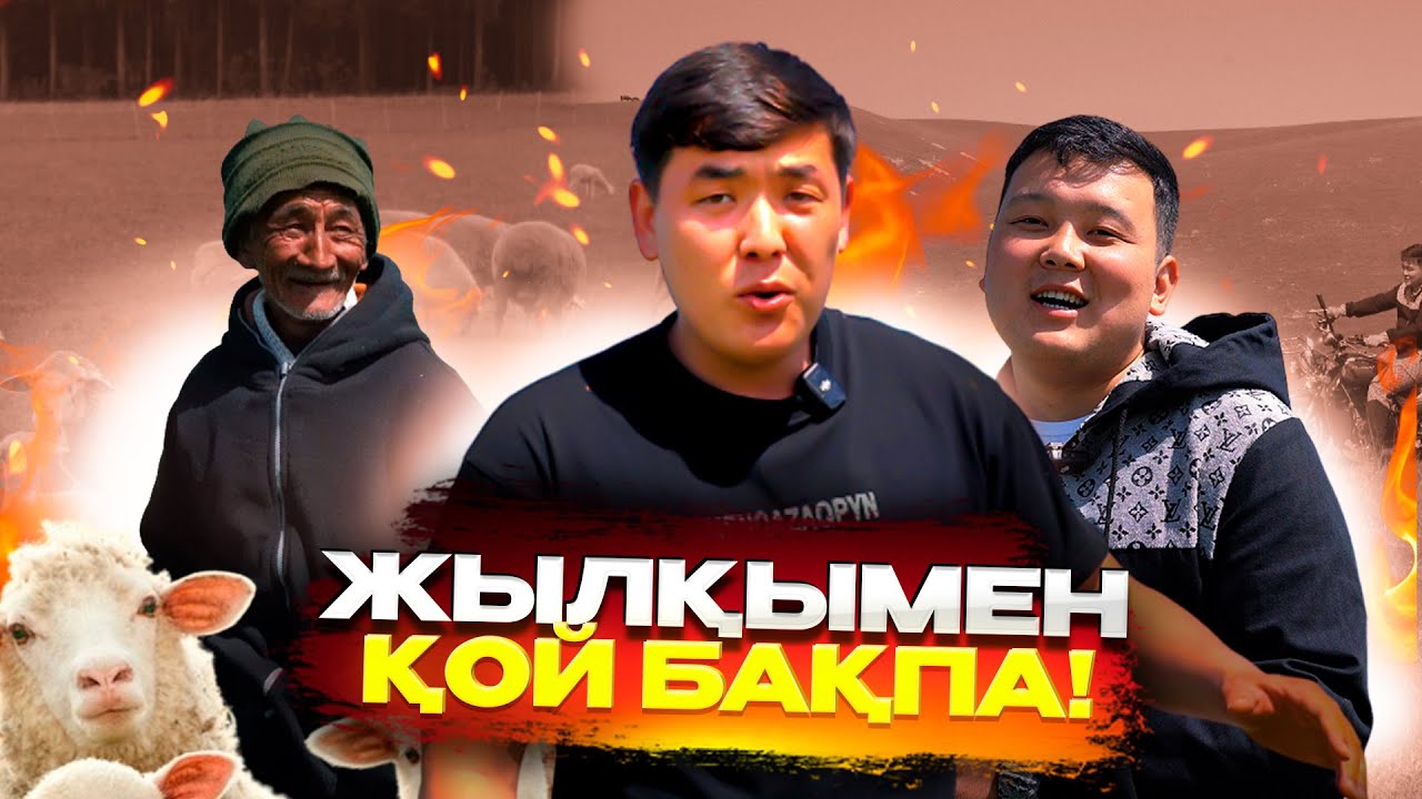 Мотоциклмен мал бақтық