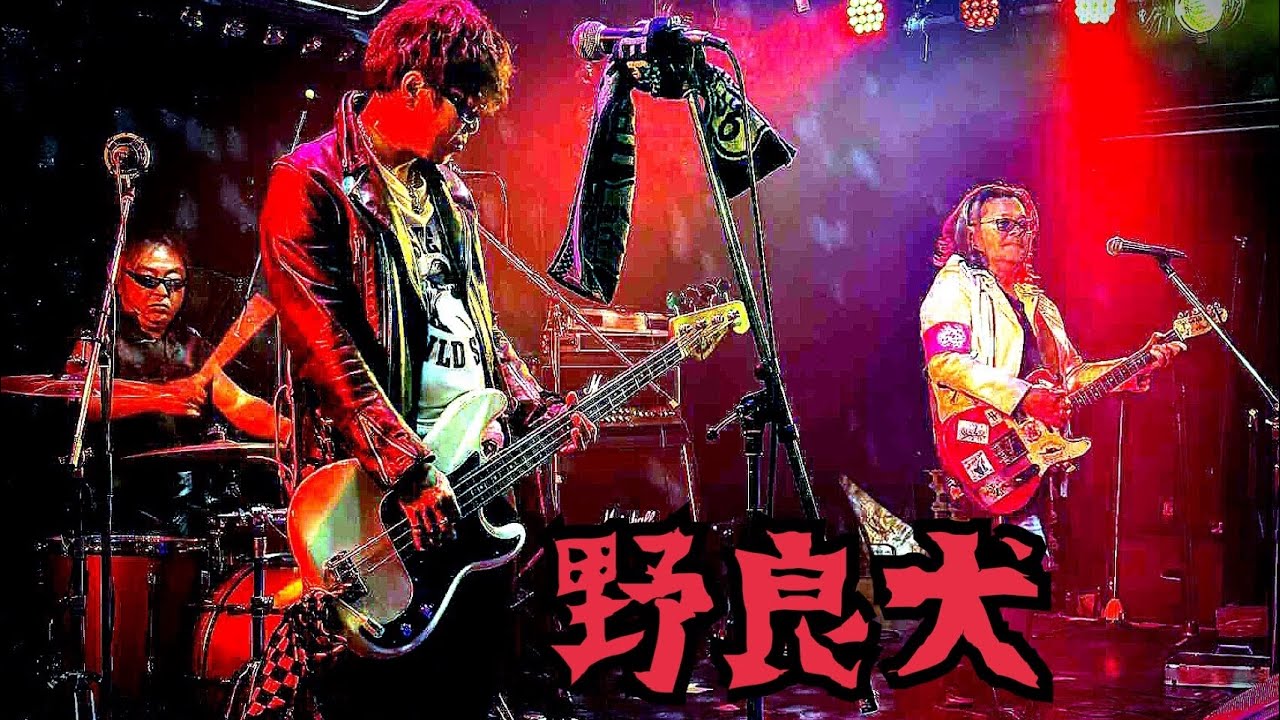 2025年11月1日(土)函館 club COCOA  野良犬