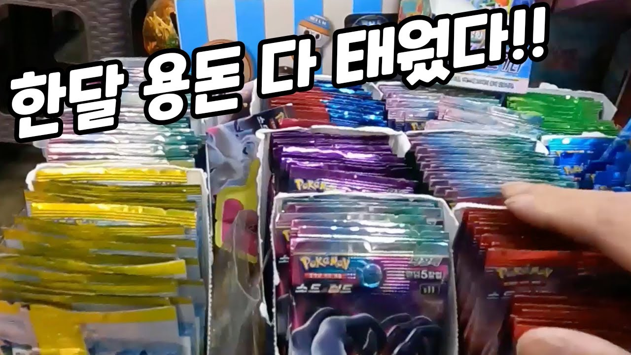 한달간 꼬박 모은 용돈을 전부 포켓몬카드 사는데 썼다!!