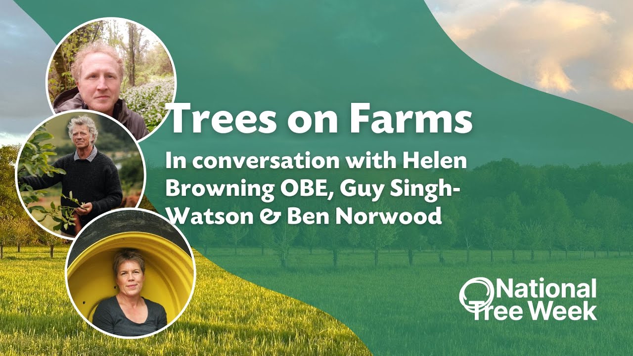 Trees on Farms