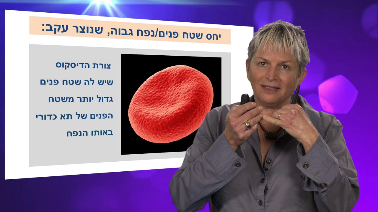 מערכת ההובלה חלק ה' - רקמת הדם