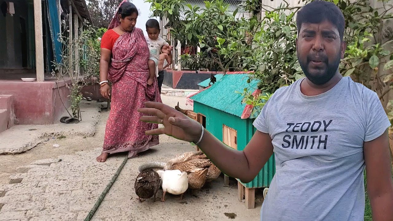Village Natural Life Style In Bangladesh \ Rural Life Style Bangladesh \ Farmer Life