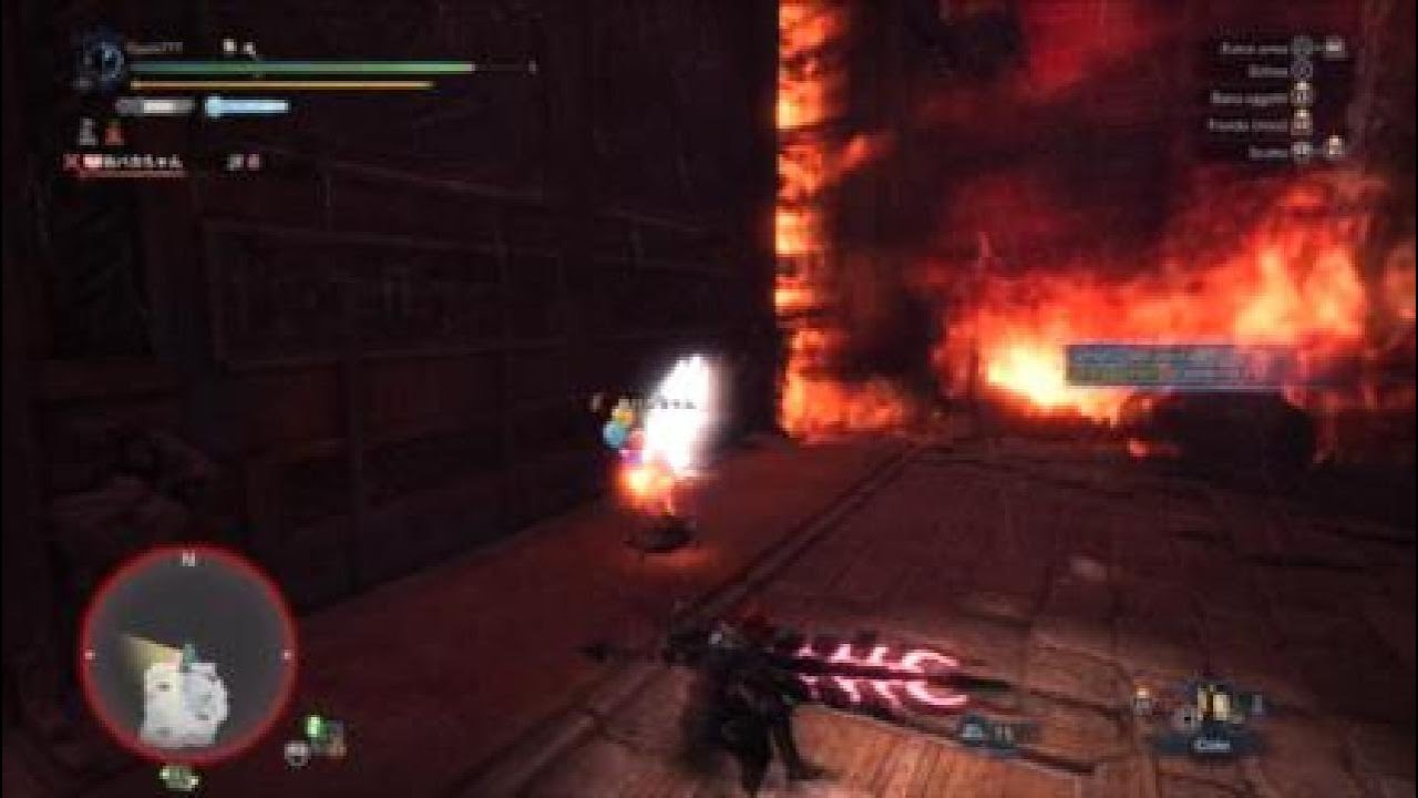 2 players FATALIS