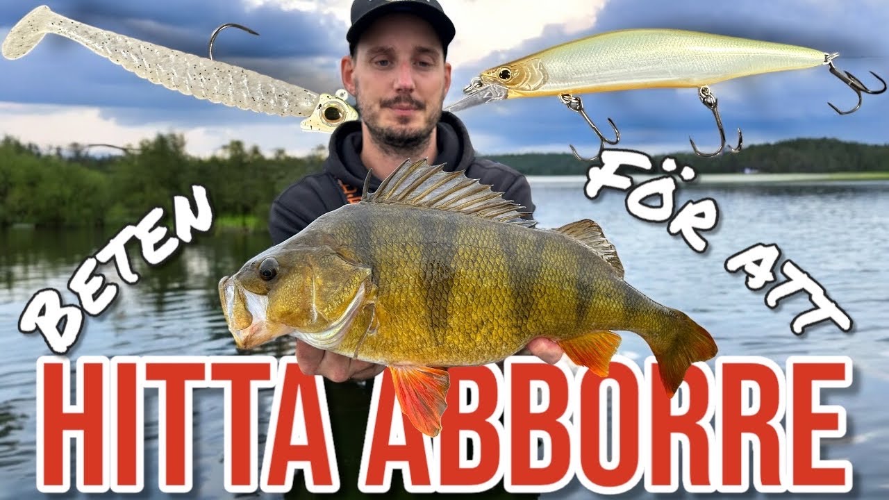 SÖKBETEN - INSJÖ & KUST - TILL ABBORRE