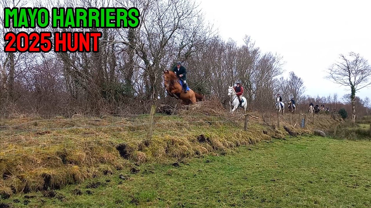 Mayo Harriers 2025 Hunt