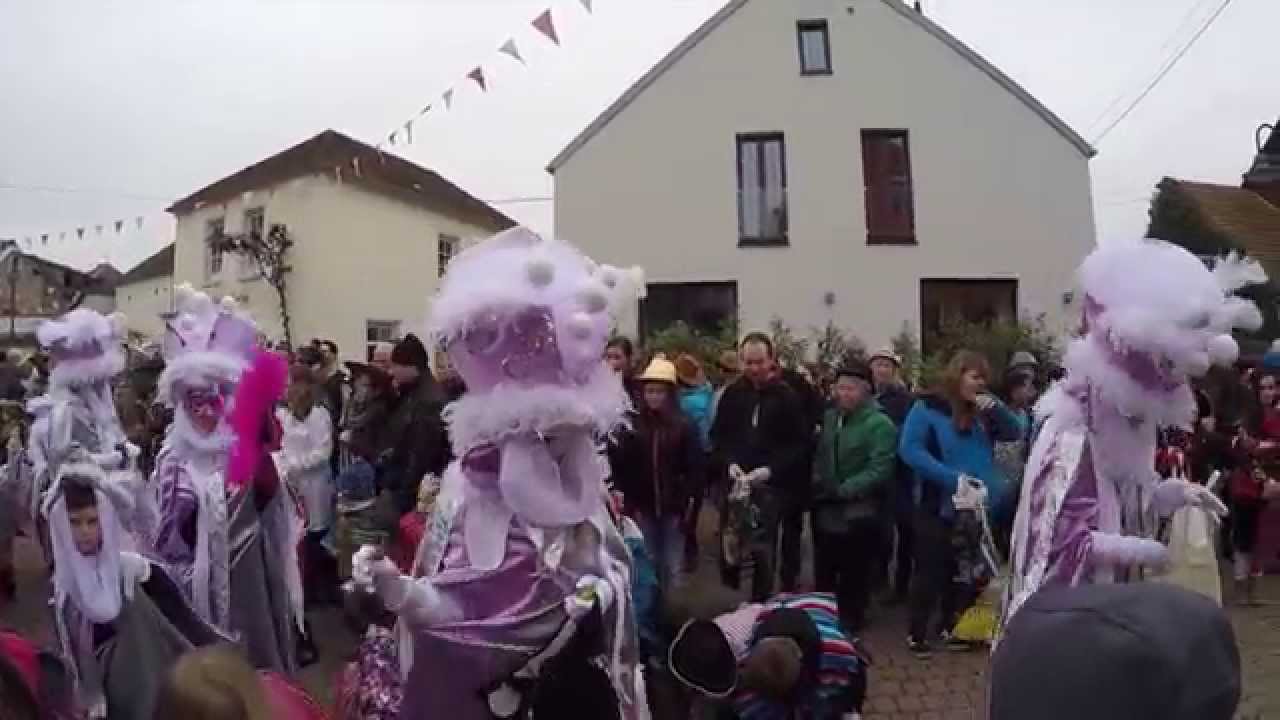 Ayl Umzug 16.2.2015