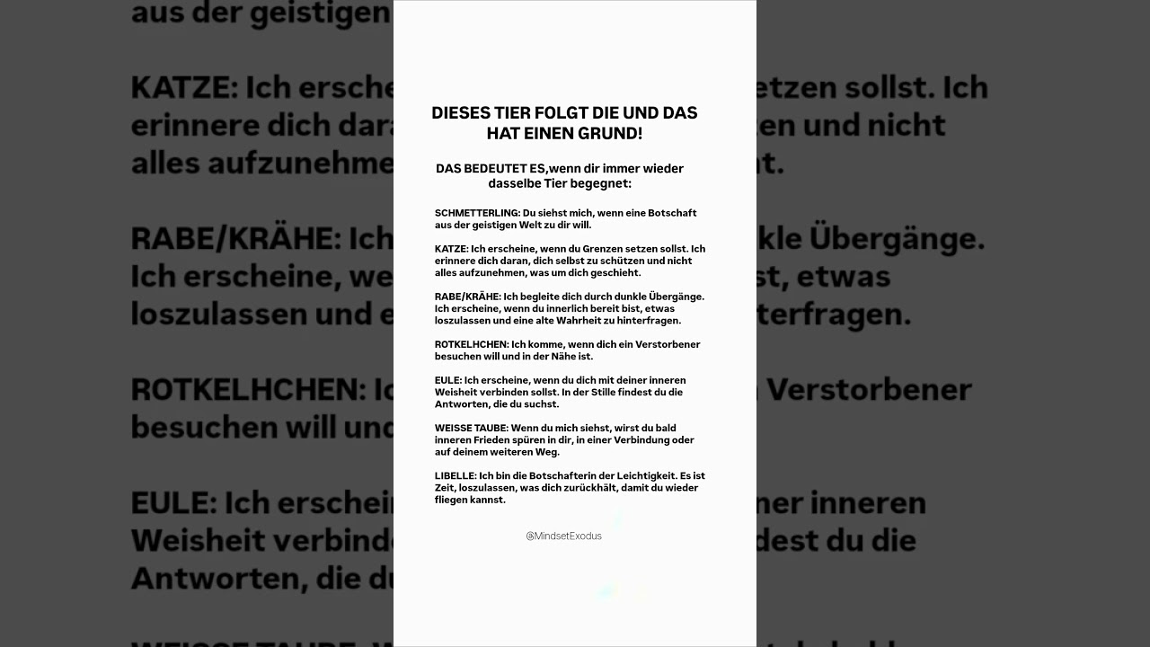 ​Welches Tier begegnet DIR immer wieder? Die spirituelle Botschaft, die DU h&ouml;ren musst!