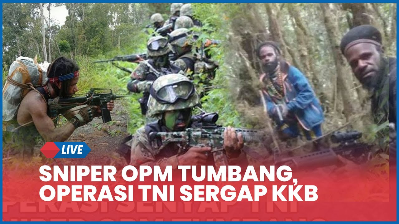 🔴 Sniper OPM Tumbang, Operasi Senyap Kopassus Sergap KKB Pencuri Senjata TNI, Tewas di Tempat