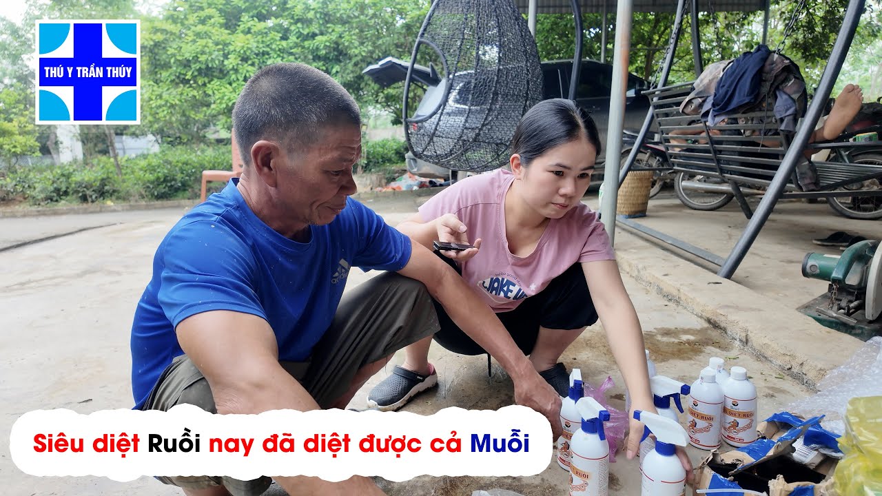 Siêu diệt ruồi - nay đã diệt được cả muỗi