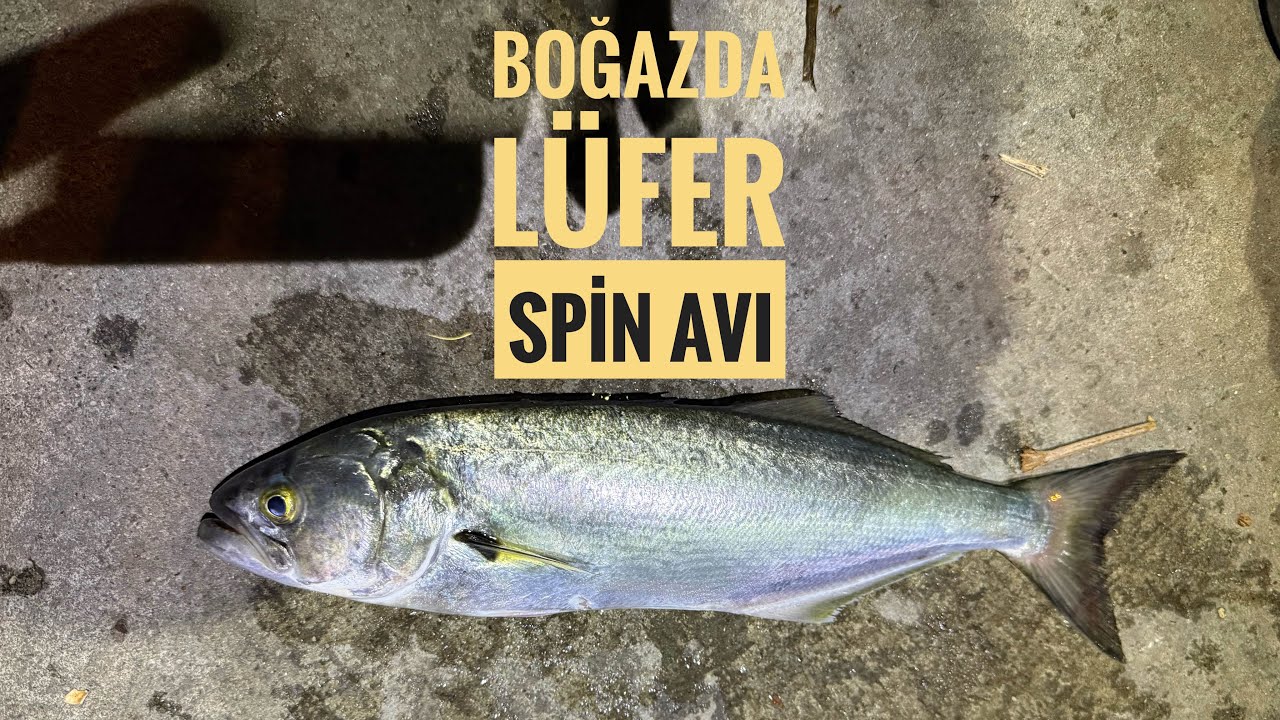 BOĞAZDA LÜFER SPİN BALIK AVI