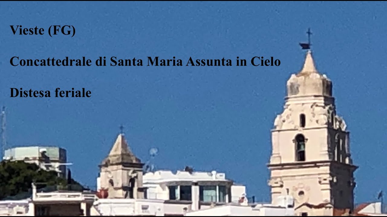 Campane della Concattedrale di Santa Maria Assunta in Cielo in Vieste (FG), v.255