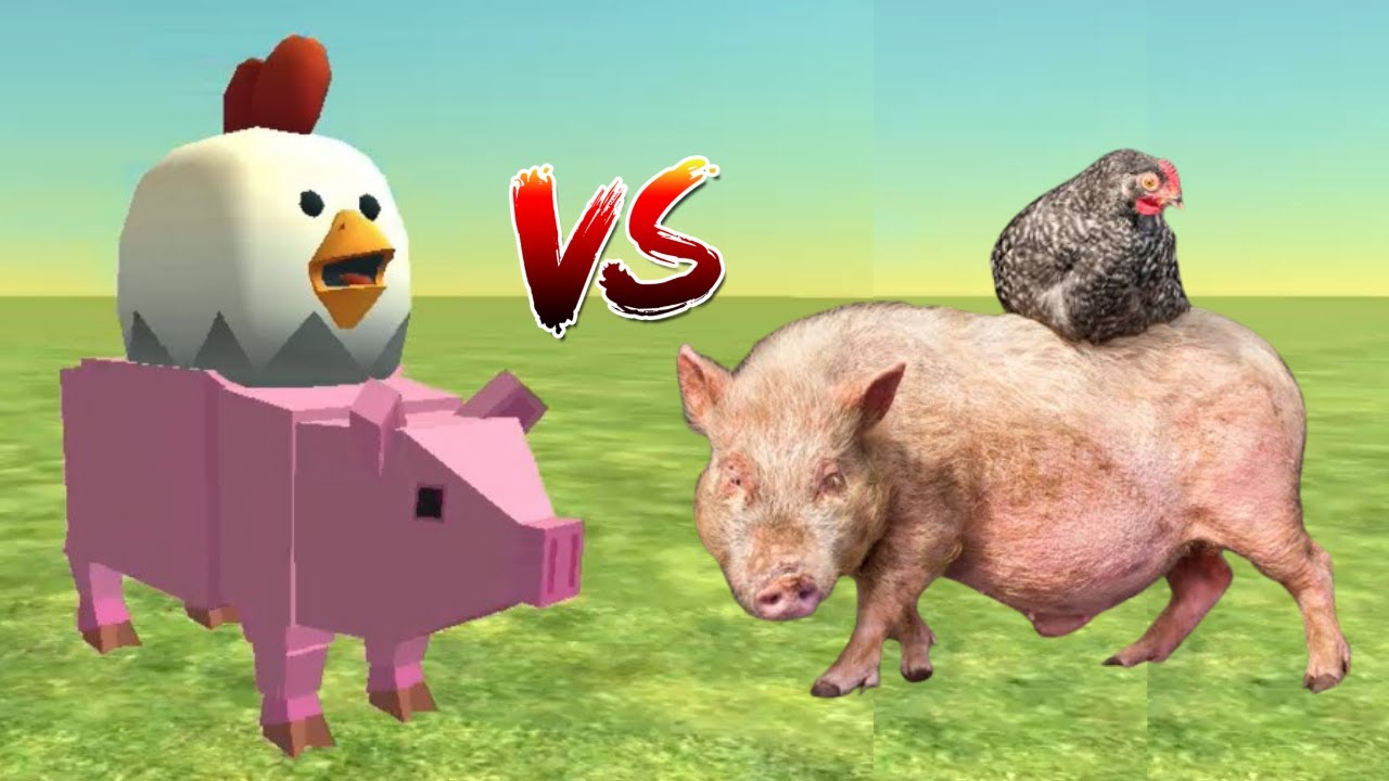 Chicken gun vs Real life
