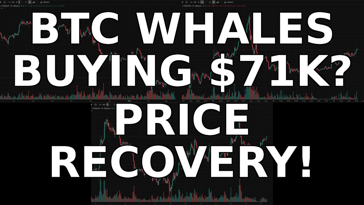 Bitcoin Whale Accumulation & BTCUSD News Analysis - March 15, 2026