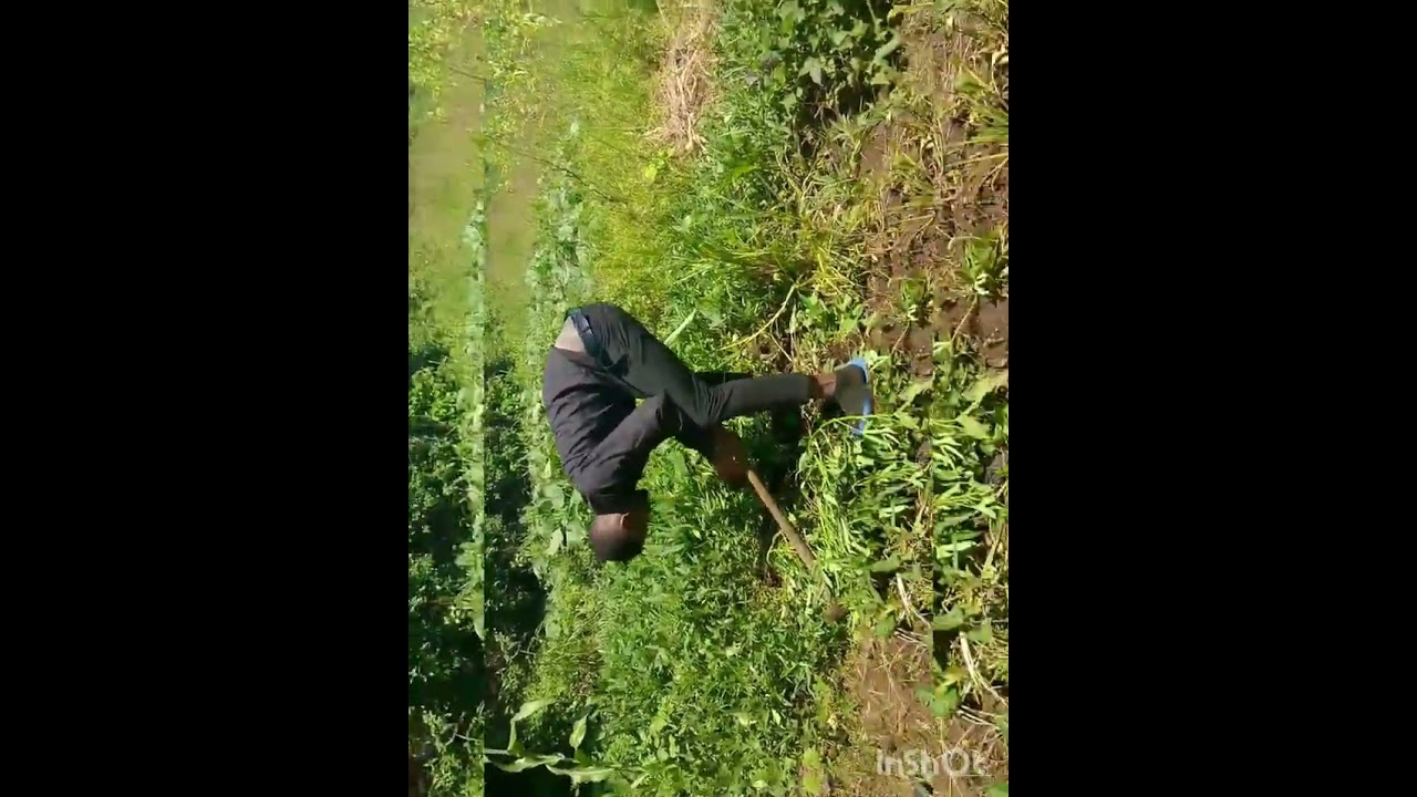 morning routine 🔥 from 9:00 AM we do farm tour 🎋