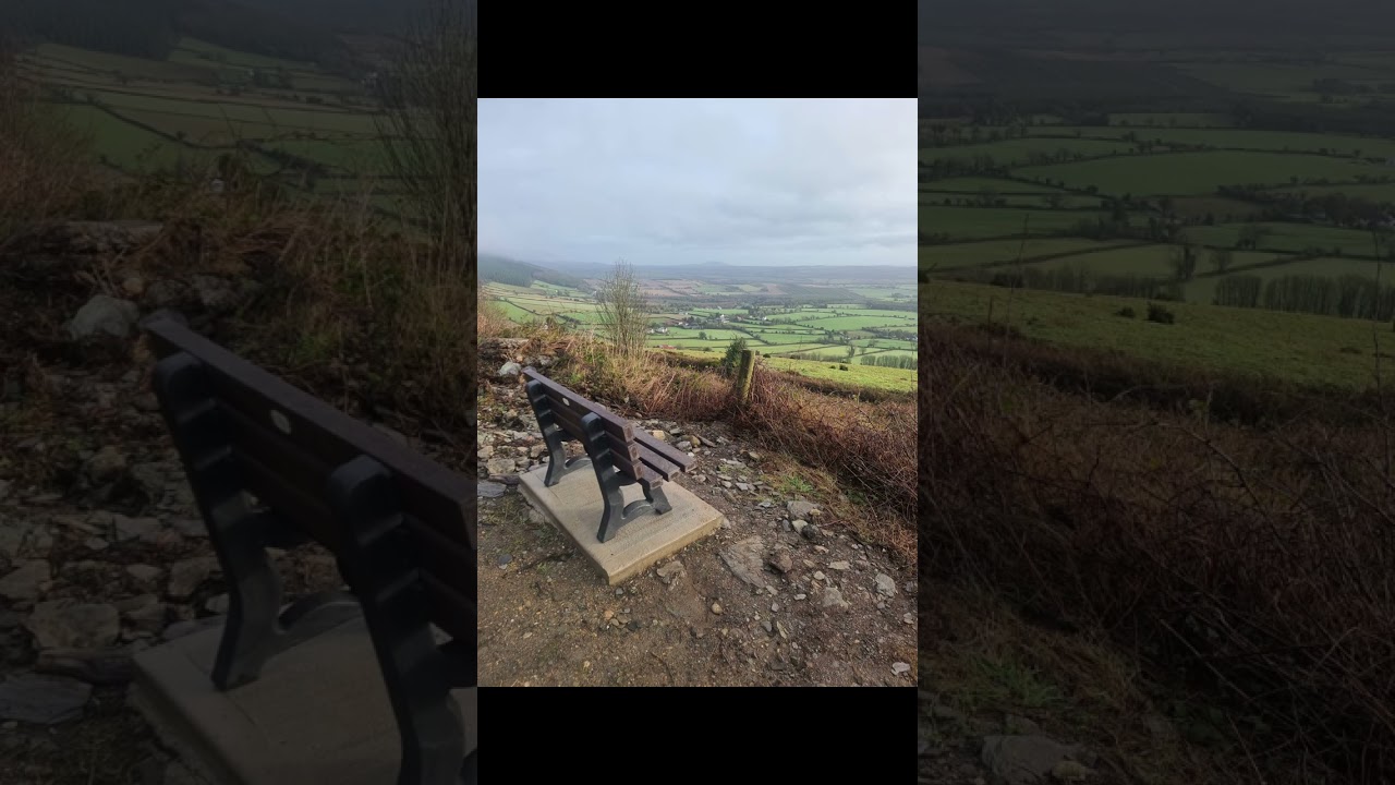A Sunday walk around the woods & hills of Askamore Co. Wexford.