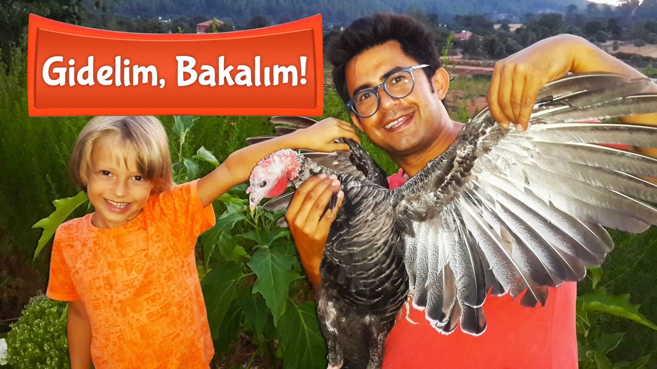 Haydi gidelim, bakalım - eğitici film