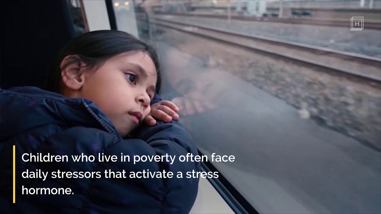 How trauma and poverty impact a child's brain