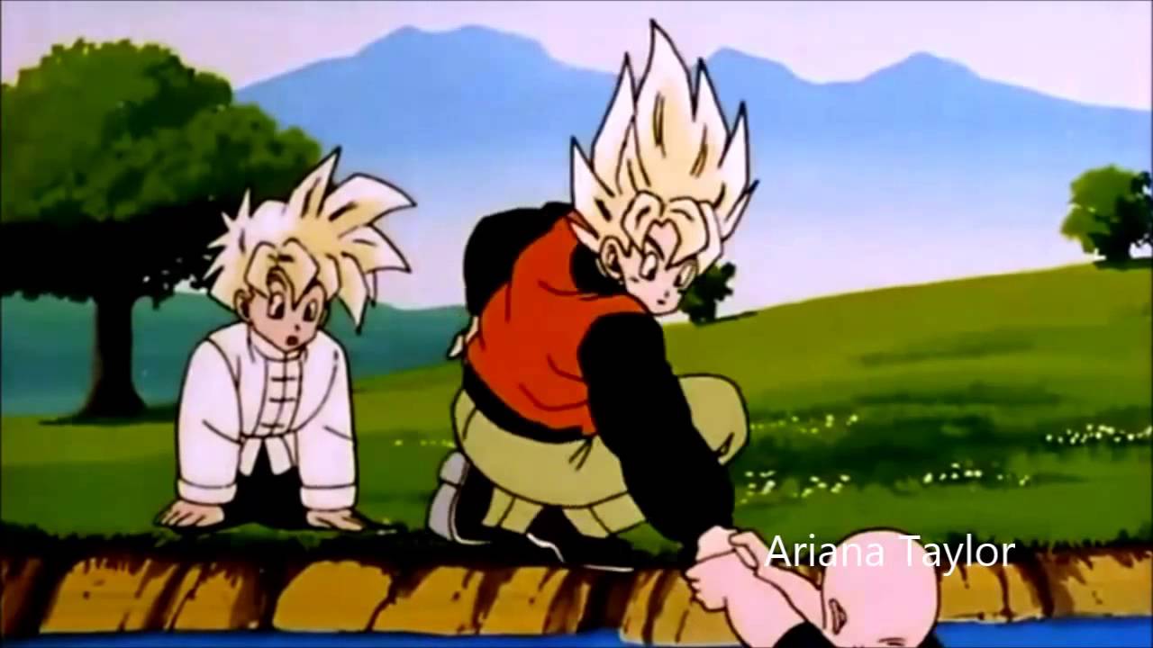 Goku and Krillin Hall of fame AMV