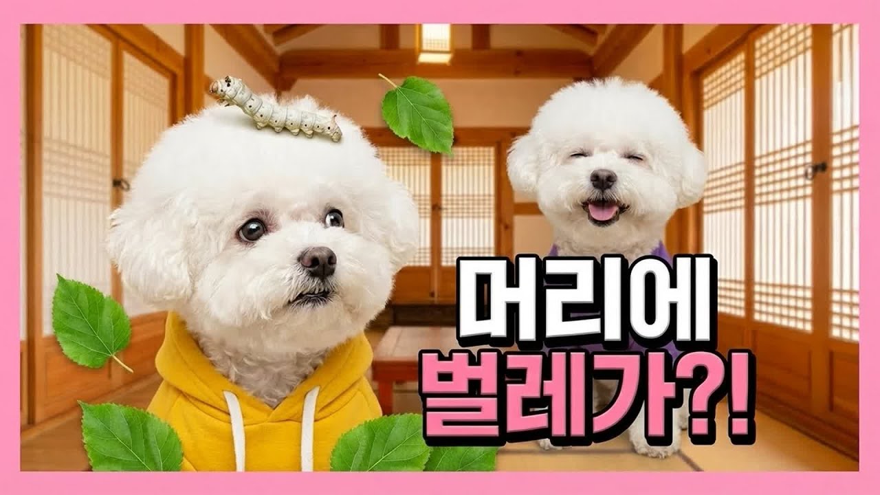 Ep.20 
