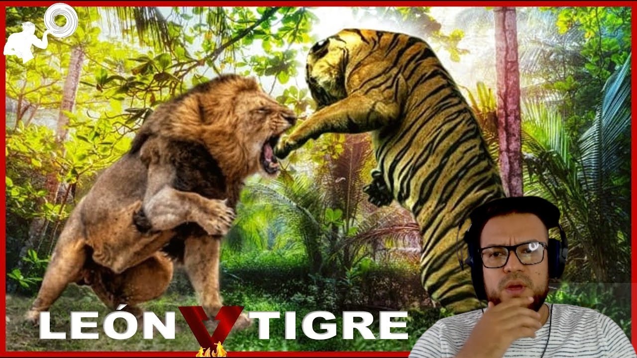 TIGRE VS LEON RESULTADOS QUE SORPRENDEN - REACCION