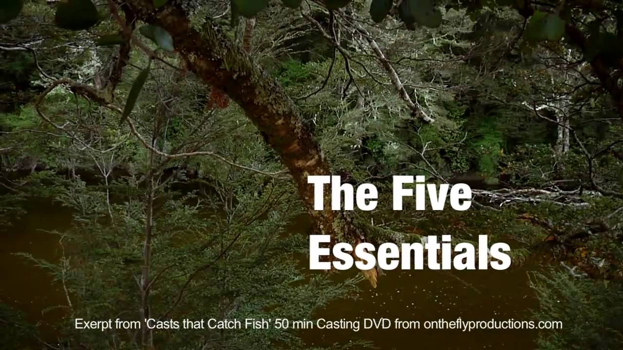 Fly Casting. Bill Gammels 5 Essentials of Fly casting, an introduction.